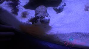 Riley Rose Norcal Part 7